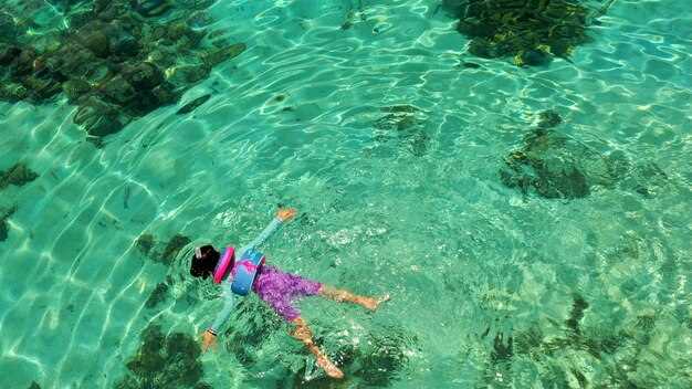 Timing and conditions: best tides, seasons, and visibility windows