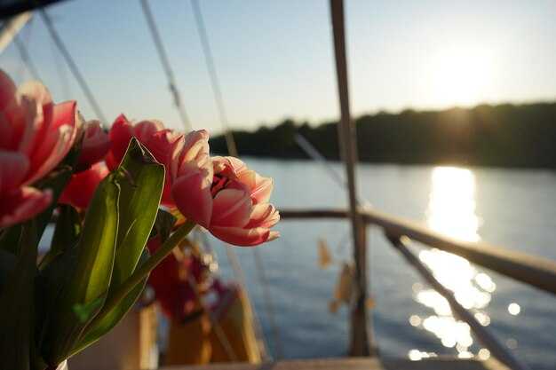 Top Spring Sailing Routes and Shoreline Highlights