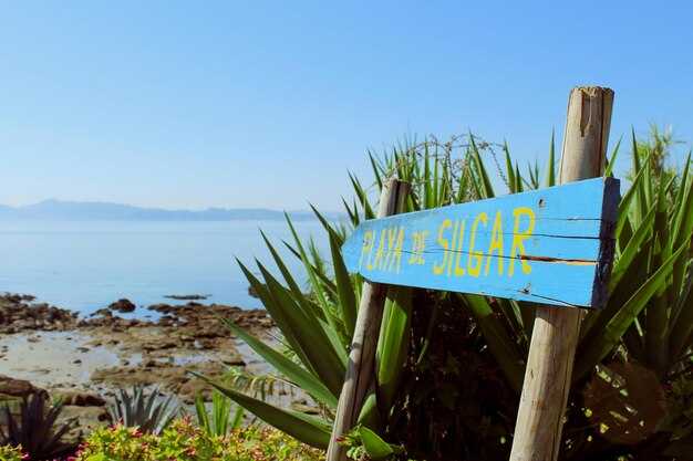 Tip 6-7: Medical Care Access, Insurance, and Carrying Medications Safely