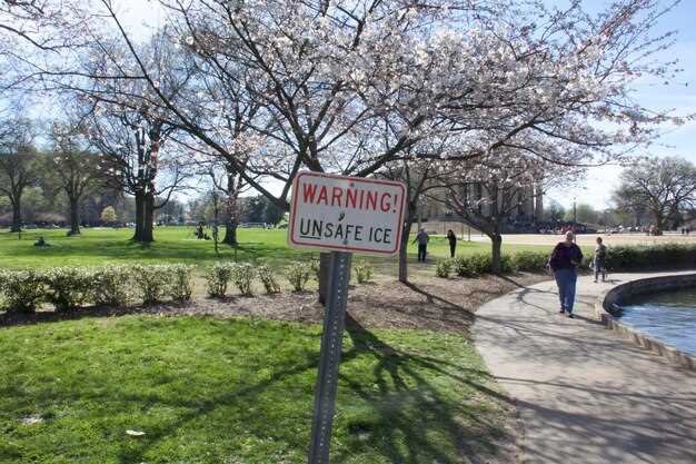 What are Day-Use Parking Permits?
