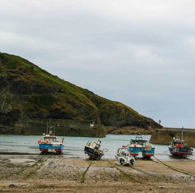 Seasonal Inshore Targets and Best Times to Fish Stock Island