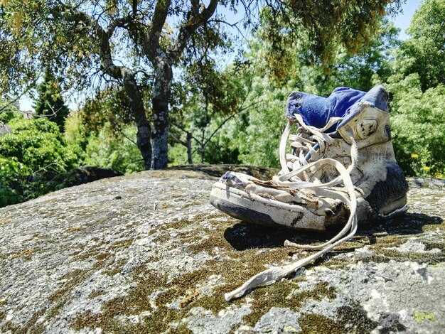 Performance Tuning for Calm and Rough Water: Adjusting throttle, torque, and response