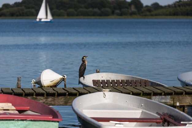 Texas Boating Guide: Where to Boat in Texas - Top Spots & Tips; Lewisville Lake