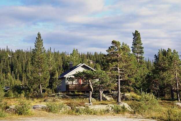 Lake Austin Kayak and Stand-Up Paddleboard Charter: Availability, Inclusions, and How to Reserve