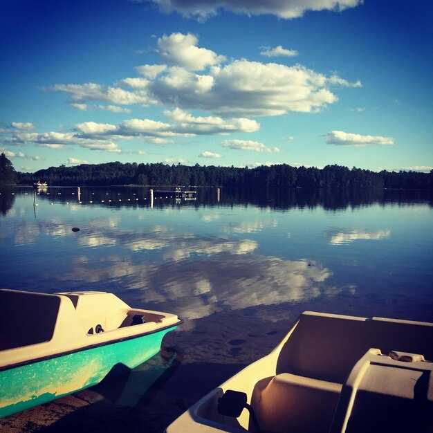 Reviews, Ratings, and Verified Feedback