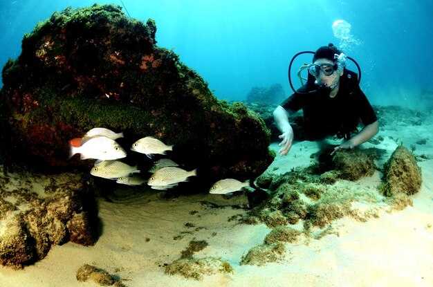 Pricing, packages, and transparent booking tips for 2023