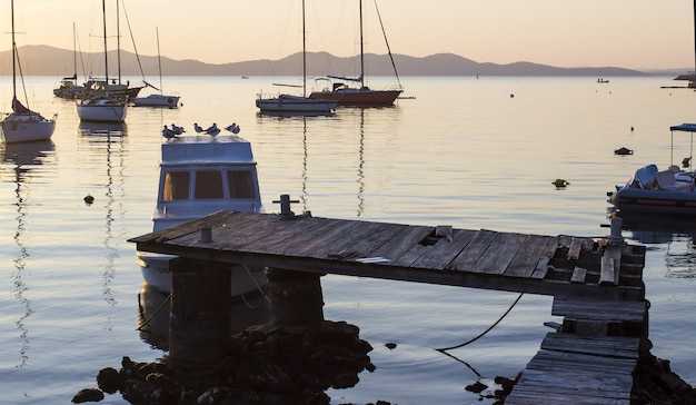 Licensing, safety gear, and required safety briefings