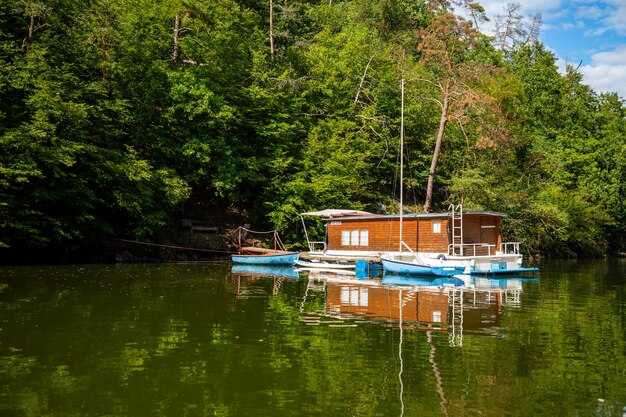 Region Spotlight: West Coast and World Highlights