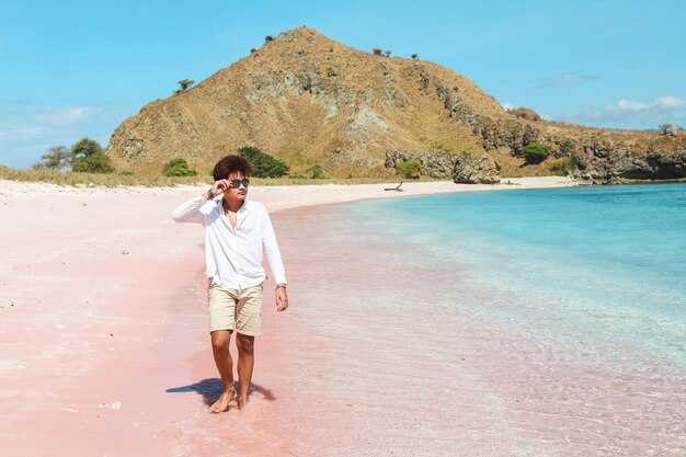 Best Beaches by Region: North Coast, South Coast, and Barbuda for Different Vibes