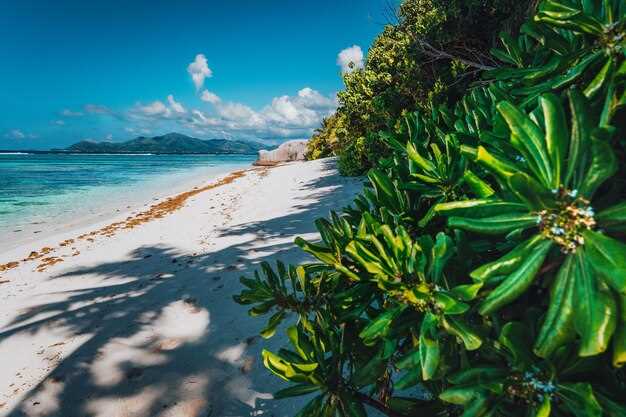 When to visit: tides, weather windows, and optimal lighting