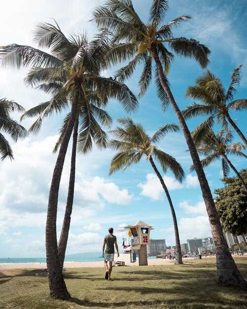 Crandon Park Beach & Bill Baggs Cape Florida: family-friendly highlights and facilities