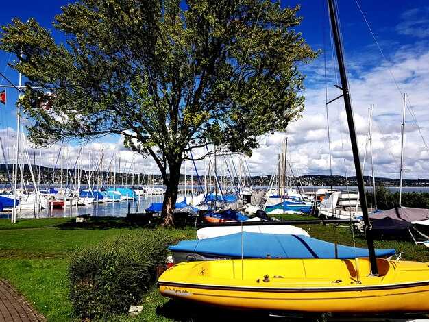 Tour options: guided trips, routes, and included activities