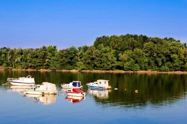 Pontoon Boats: Perfect for Family Outings