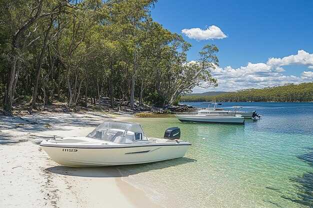 阿波罗海滩附近最佳船只租赁：立即探索风景秀丽的水域！