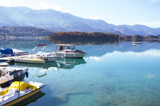 The Best Boat Rentals on Percy Priest Lake Top Picks; Tips for Boating with Your Dog - GetMyBoat