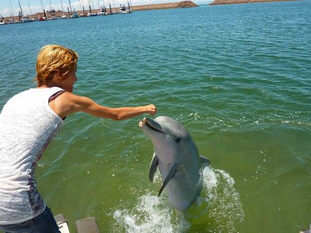 The Best Boat Tours in Bonita Springs – Dolphin Watching & Eco Tours