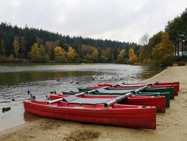 Whale-Watching Kayak Rentals at Icy Strait Point and Hoonah