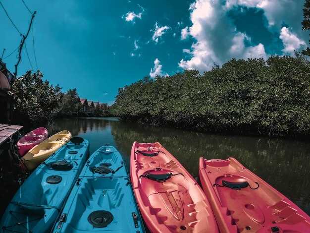 The Best Kayak Rentals in Saint Petersburg, FL – Top Picks for 2025