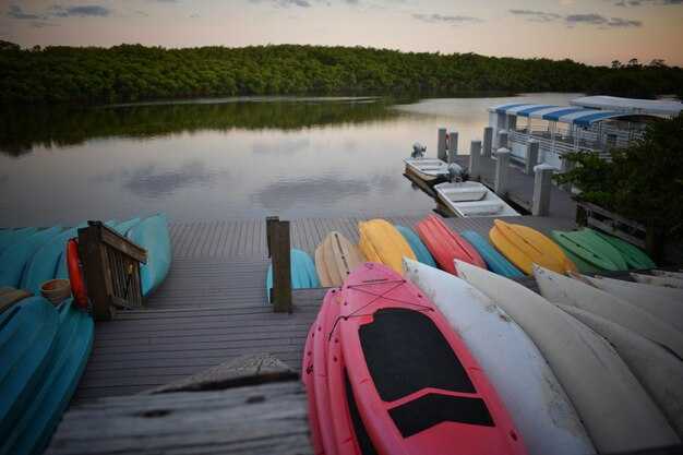 Practical Overview of Tampa Bay Kayak Rental Options