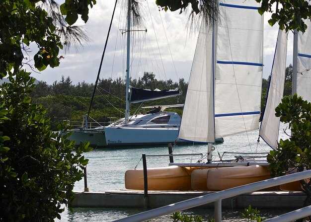 The Best Sailboat Rentals in Marina Vallarta | Top Picks