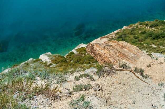 How to reach Spiaggia del Principe: parking, transit, and access tips