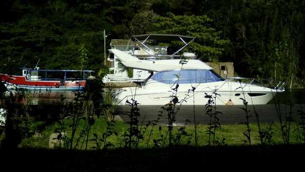 The Best Yacht Rentals in Arlington | Top Luxury Boat Charters