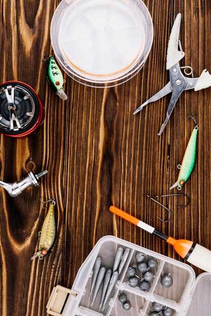 Catfish Tackle and Setup: Practical Guidance for Freshwater Anglers