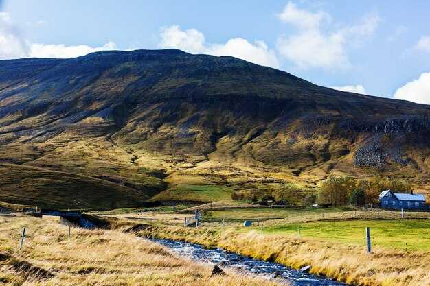 Food and Local Eats: top pubs and cuisine near Gleneagles