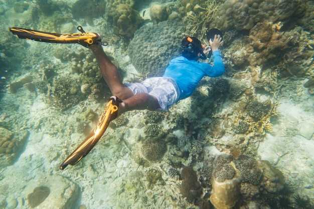 Access, Boat Trips, and Shore Entry: How to Start Snorkeling