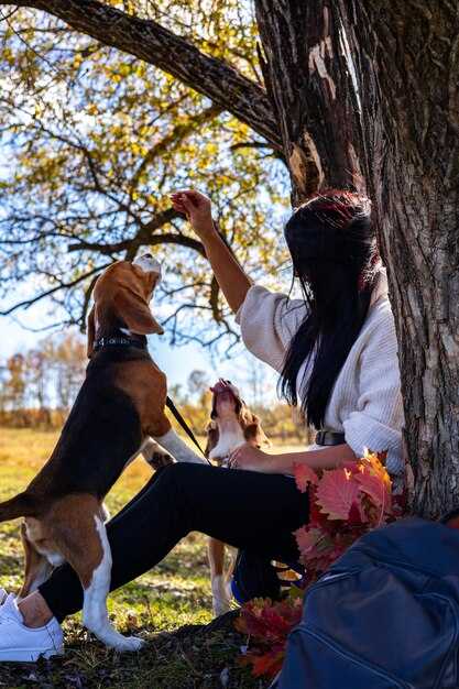 Things to Do in Huntersville, NC – Top Attractions, Outdoor Activities & Family Fun