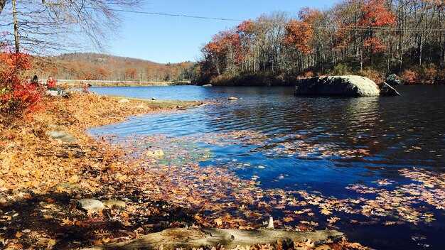 Things to Do in Lake Havasu City in October – Your Fall Guide