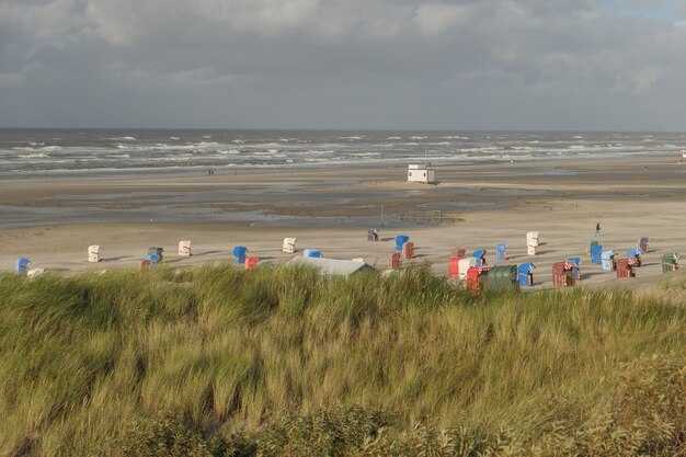 Family-Friendly Activities and Amenities Near Silver Lake