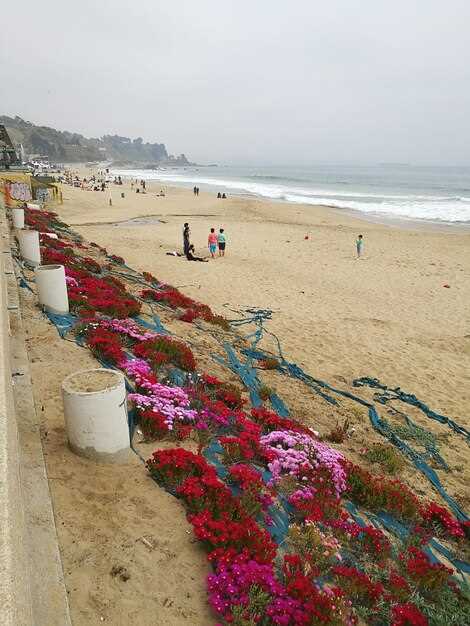 Water Sports and Coastal Experiences: Surfing, Kayaking, and Paddleboarding