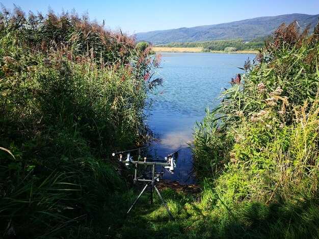 On-Water Safety: Required Gear and Local Rules for Lake Chelan