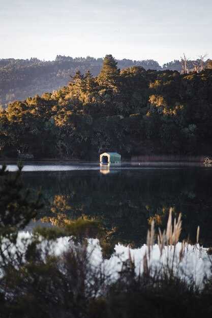 Luxurious Boats with Modern Amenities and Space