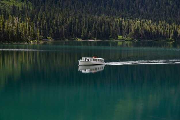 Top 10 Boat Tours to Glide Through Scenic Waters