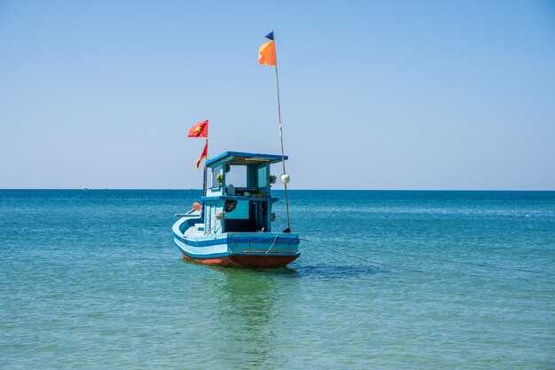 22' Panga – budget-friendly inshore trips, snorkel add-on