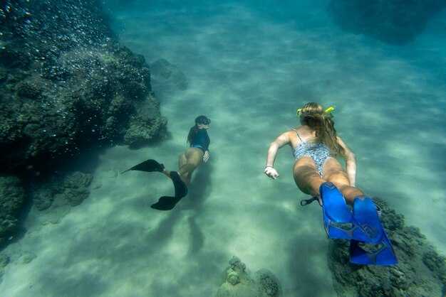 Top 10 Scuba Diving Spots in Florida – Best Places to Dive