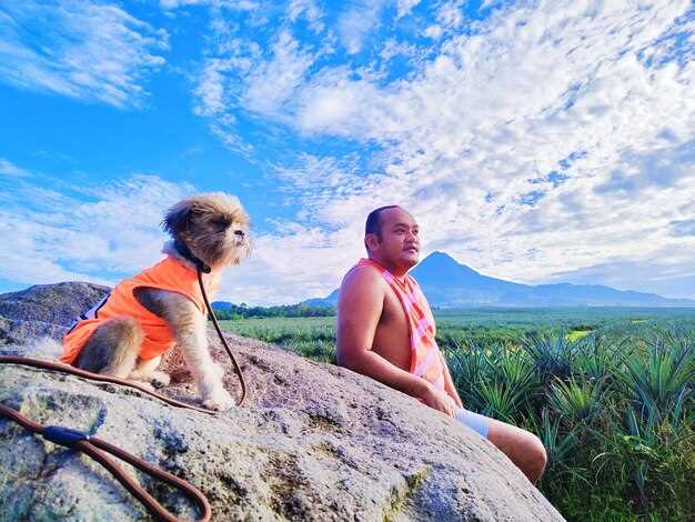 Top 10 St Maarten Excursions & Tours for Unforgettable Island Adventures