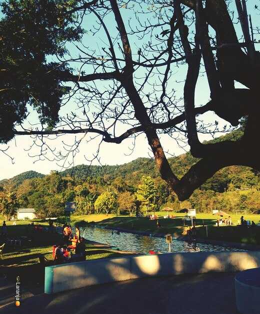 Prime fishing spots and April techniques on Lake Guntersville