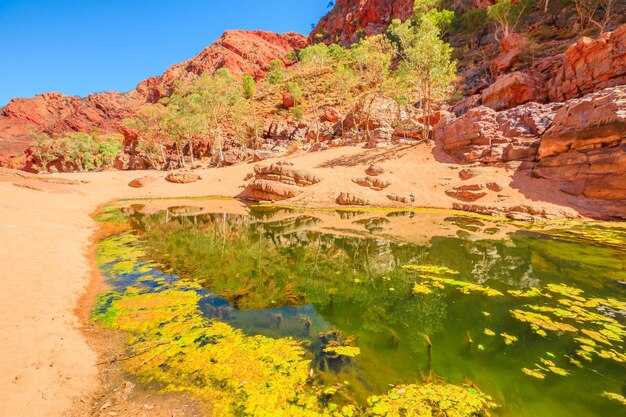 Top 12 Things to Do in Lake Havasu City, Arizona in April