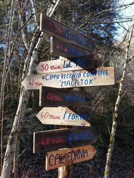 Top 2025 Bucket List Experiences in Hendersonville