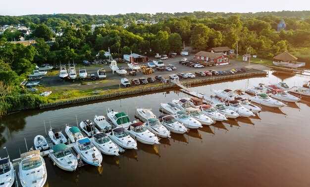 Whale Watching Excursions: What to Expect