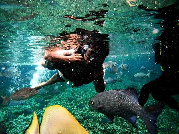 Top 8 Diving Sites in the Eastern Caribbean   Best Underwater Adventures; - Old Bahama Bay Resort
