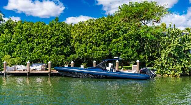 Top Lake Harris Boat Rentals - Explore the Beauty of Florida's Hidden Gem