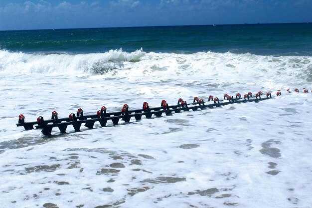 Water Conditions and Daily Timing