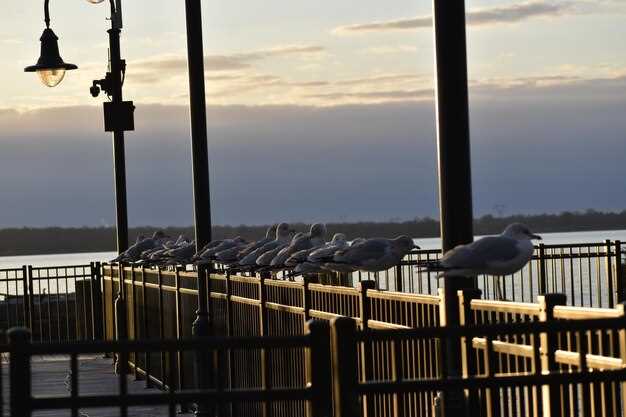 Κορυφαία Εστιατόρια και Μπαρ γύρω από τη Λίμνη Conroe – Ένας Τοπικός Οδηγός για Φαγητό και Νυχτερινή Ζωή