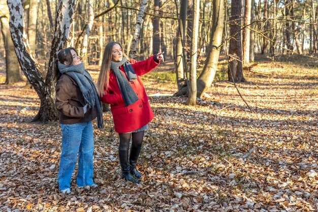 Top Things to Do at Lake of the Ozarks in October 2025