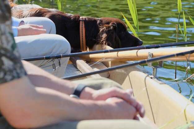 Gear, tactics, and bait suggestions for popular NE Arizona spots