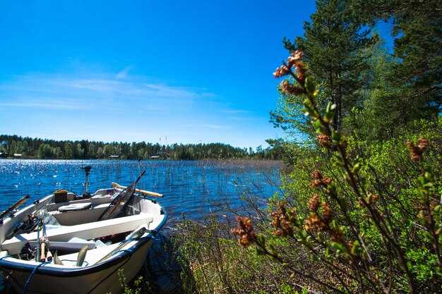 Boat Launches on Torch Lake: Locations, Fees, and Hours